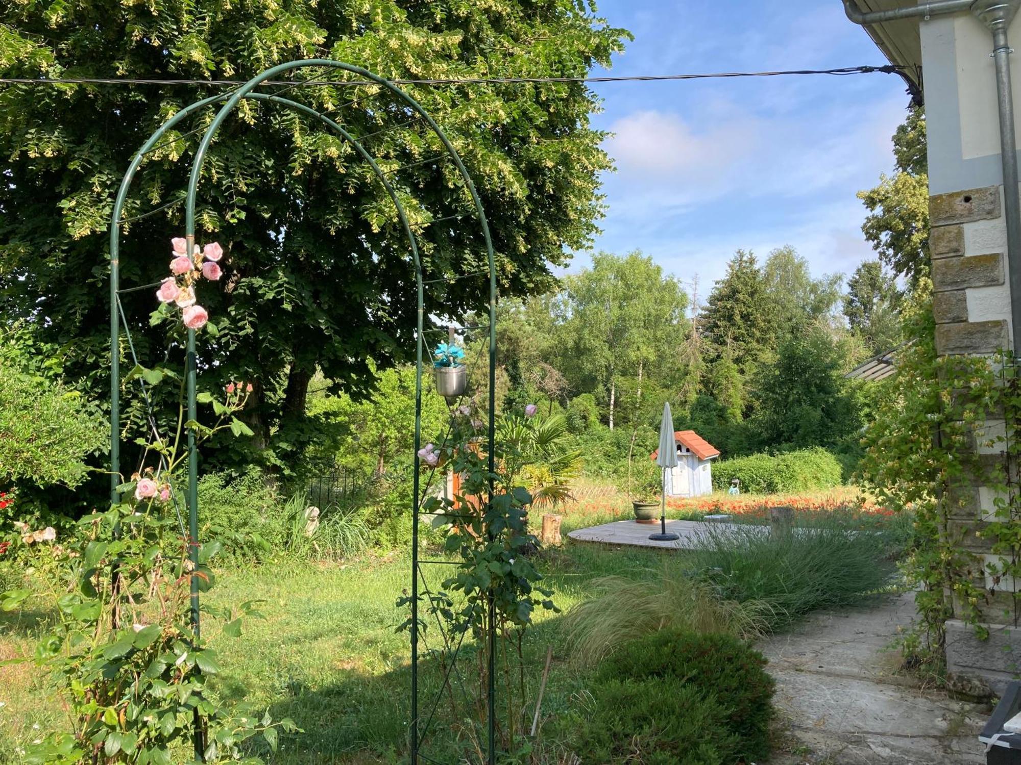 "Aux Chants Des Oiseaux" Domaine De La Renardiere Les Grandes-Loges Exterior foto